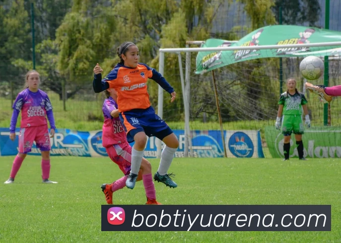 BOB体育发展历程